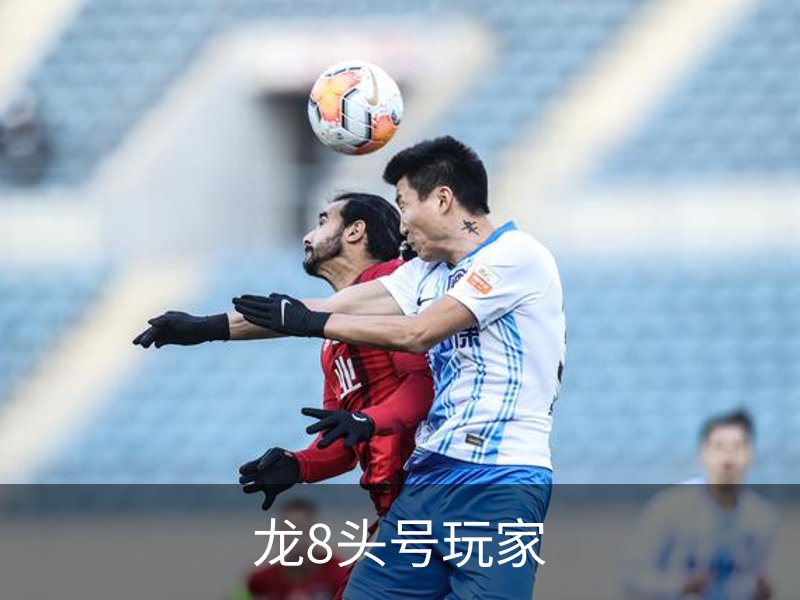 龙8头号玩家简介